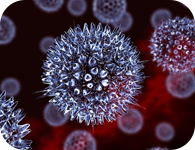 Herpes Simplex Virus gây mụn rộp sinh dục