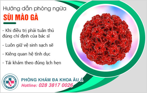 Ảnh sùi mào gà ở nam giới