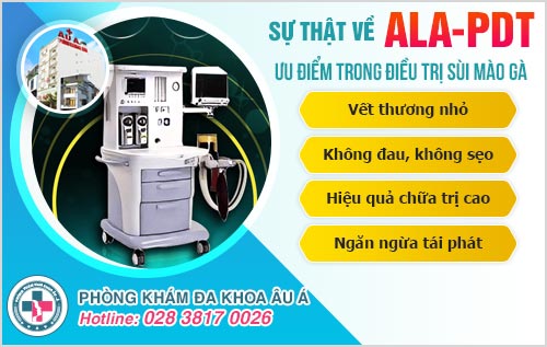 Bị sùi mào gà kiêng ăn gì