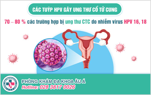 Các tuýp HPV gây ung thư cổ tử cung
