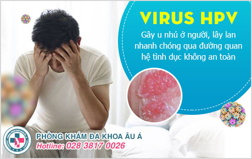 Các type HPV